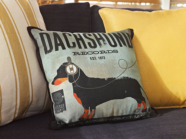 Pillows with Personality